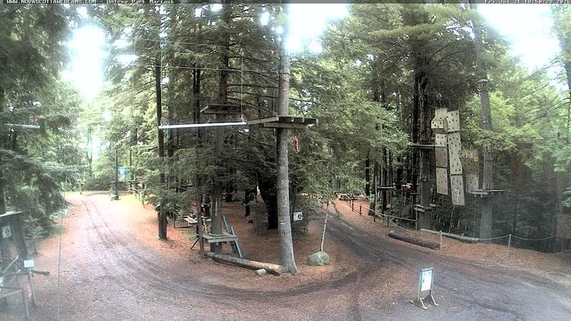 Ontree Park
