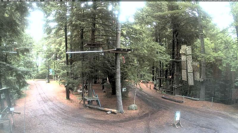 Ontree Park