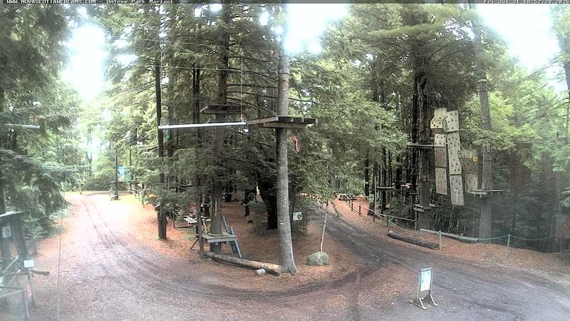 Ontree Park