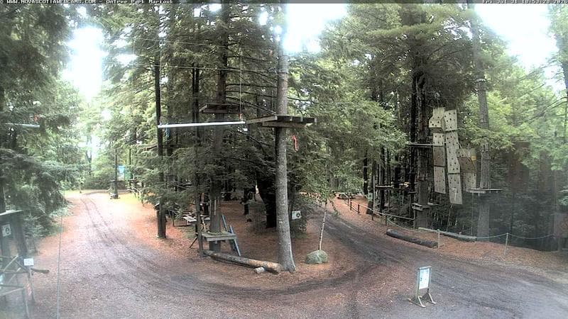 Ontree Park