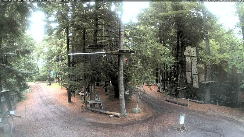Ontree Park