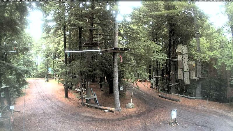 Ontree Park