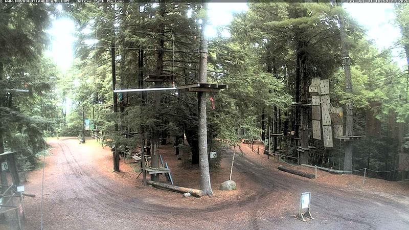 Ontree Park