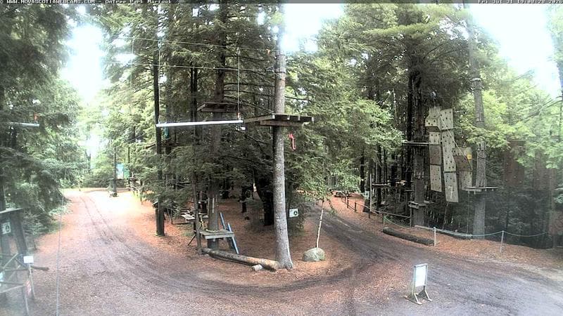 Ontree Park