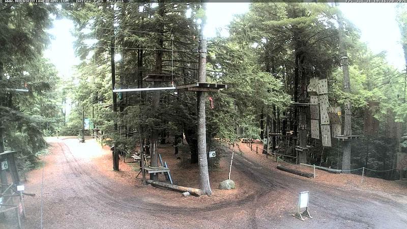 Ontree Park