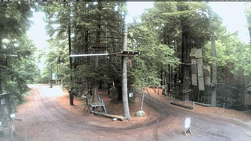 Ontree Park