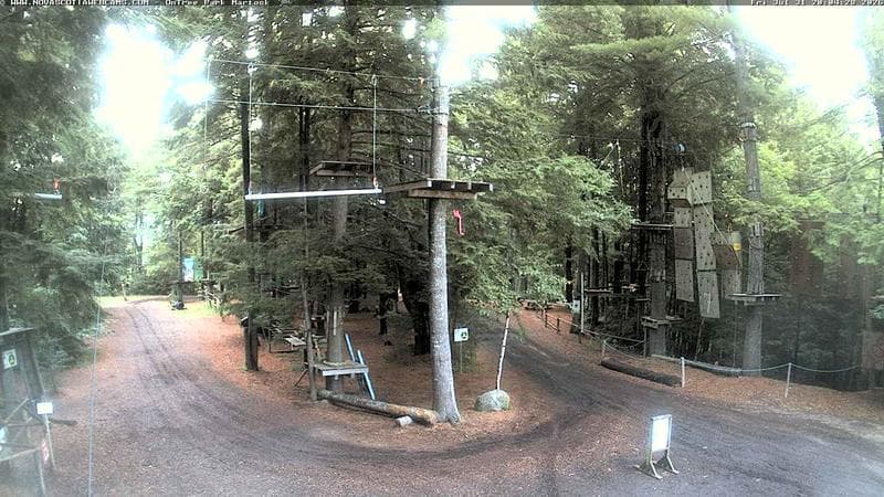 Ontree Park