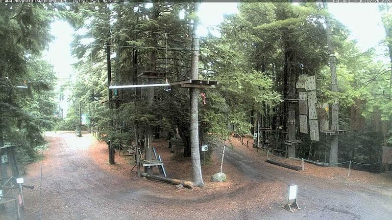 Ontree Park