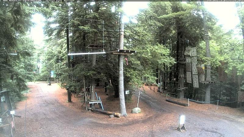 Ontree Park