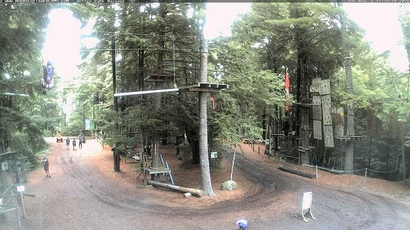 Ontree Park
