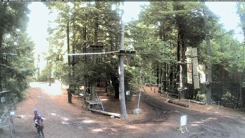 Ontree Park