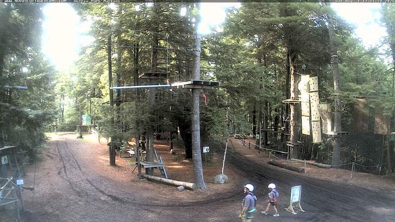 Ontree Park