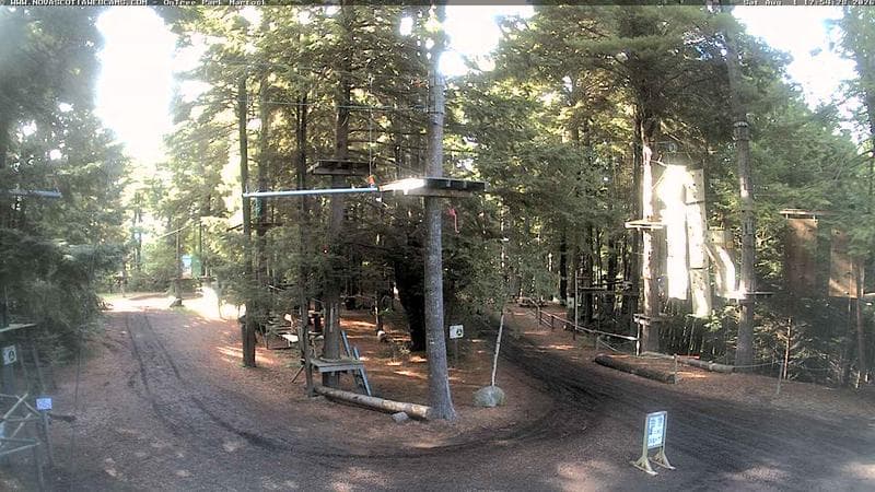Ontree Park