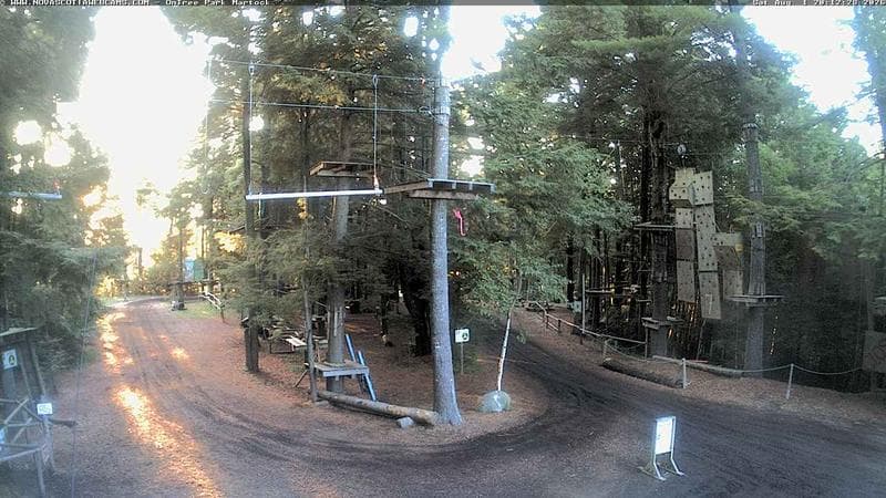 Ontree Park