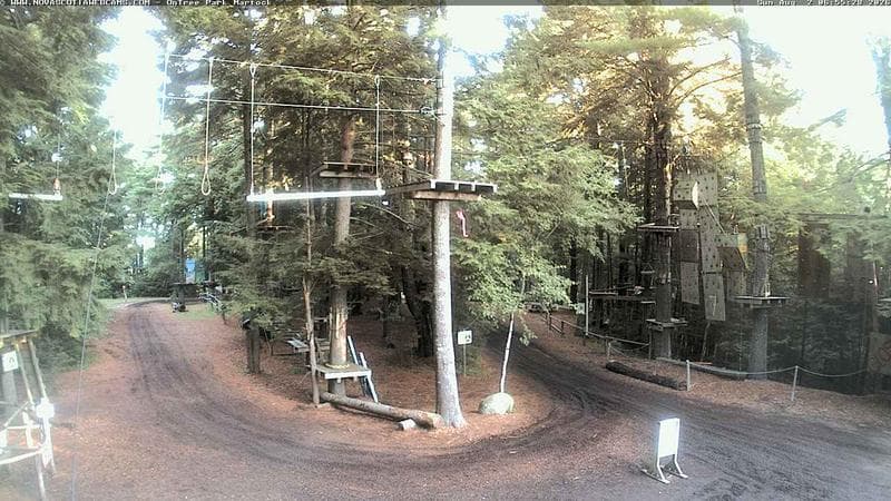 Ontree Park