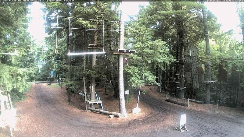 Ontree Park
