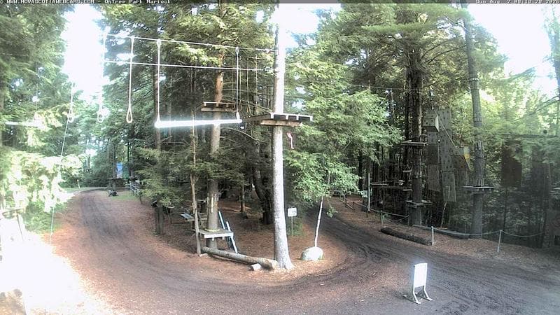 Ontree Park