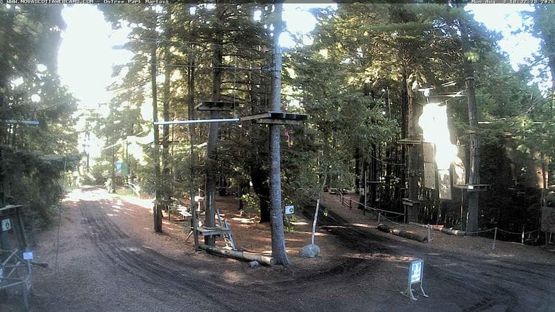 Ontree Park