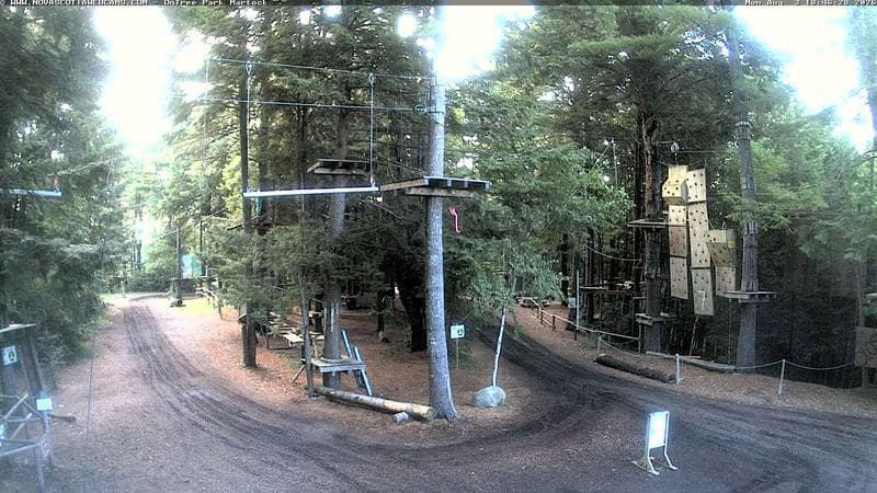 Ontree Park