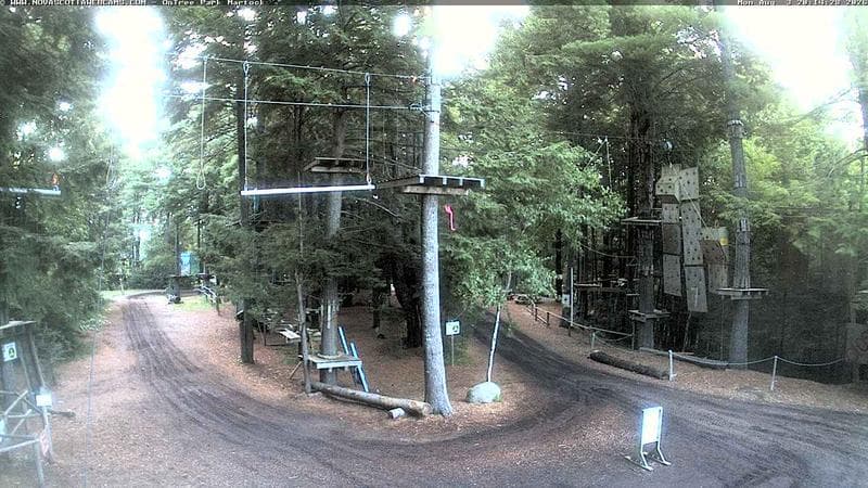 Ontree Park