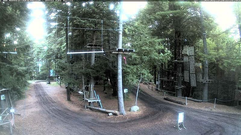 Ontree Park