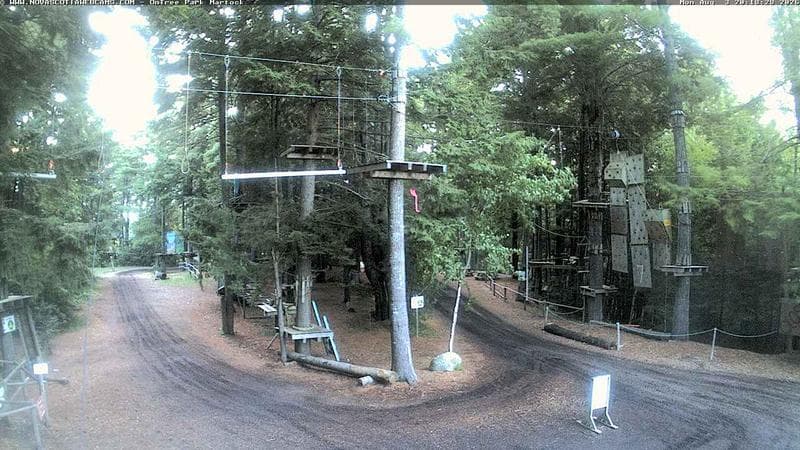 Ontree Park