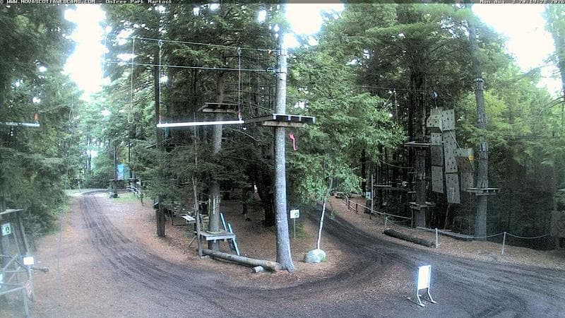 Ontree Park