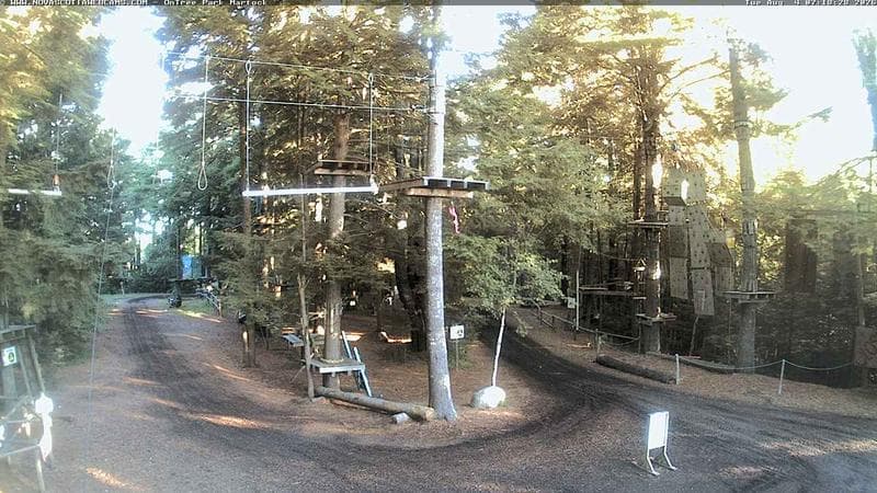 Ontree Park
