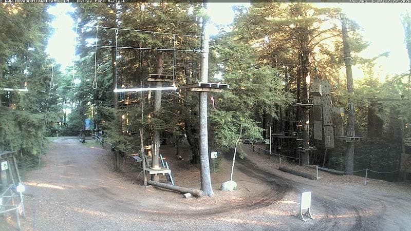 Ontree Park