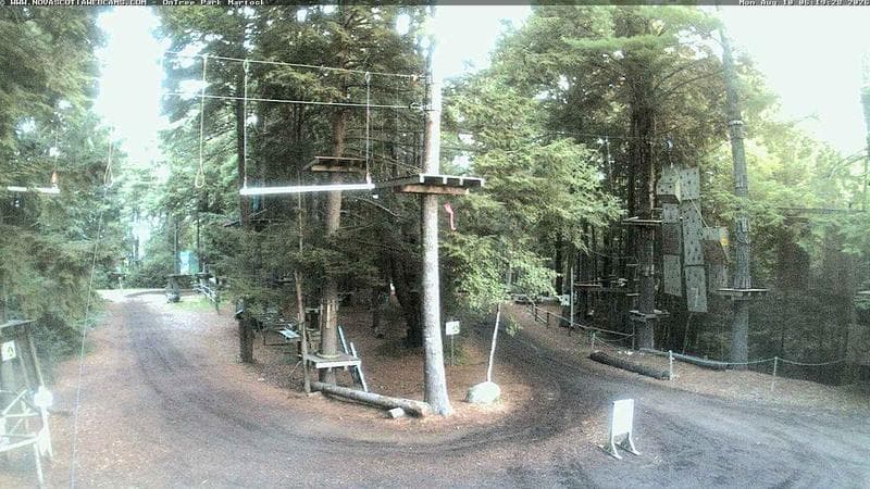 Ontree Park