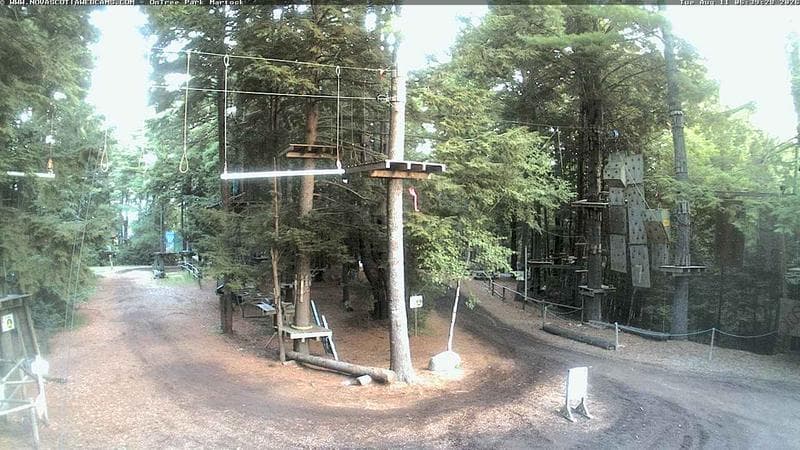 Ontree Park