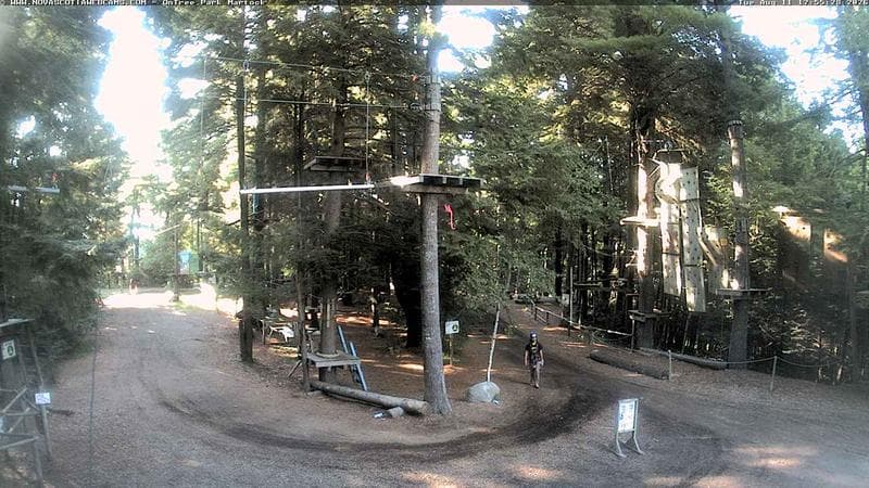 Ontree Park