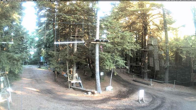 Ontree Park