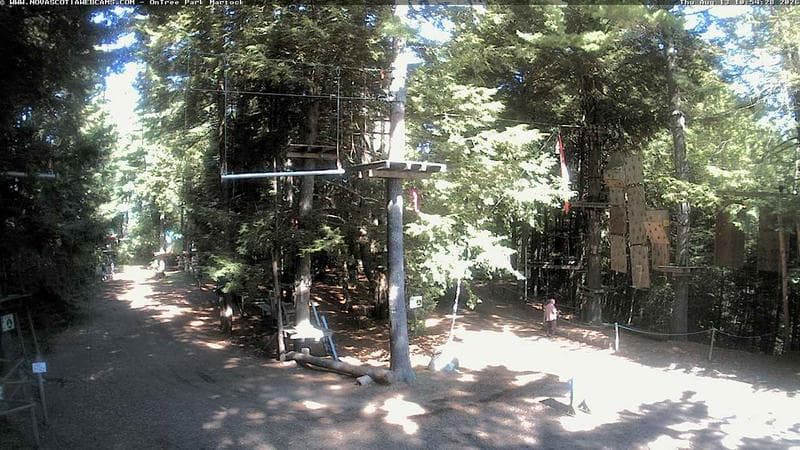 Ontree Park