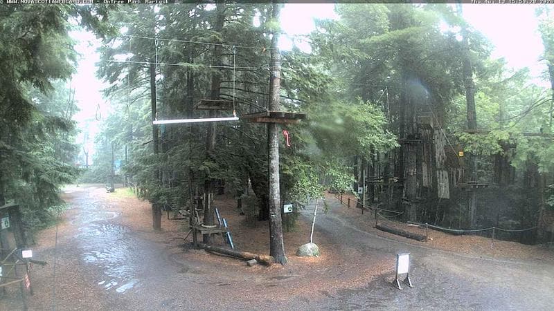 Ontree Park
