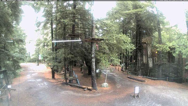 Ontree Park