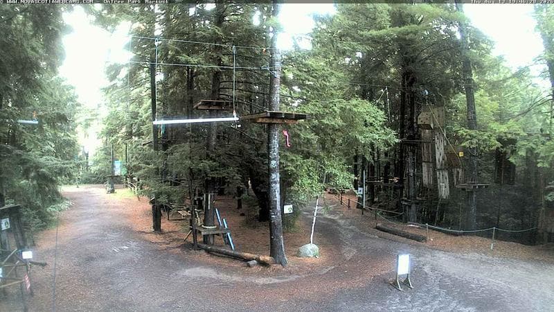 Ontree Park
