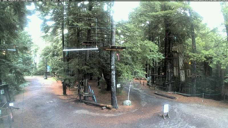 Ontree Park