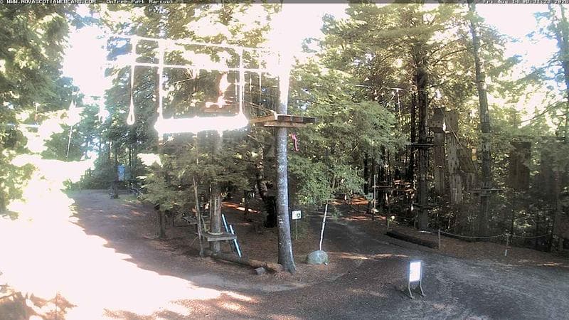 Ontree Park