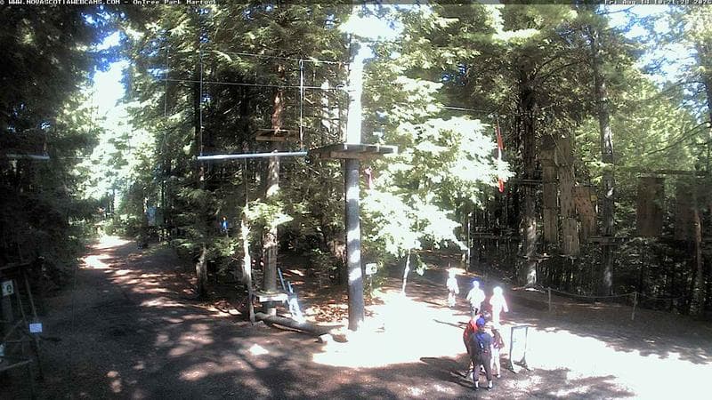 Ontree Park