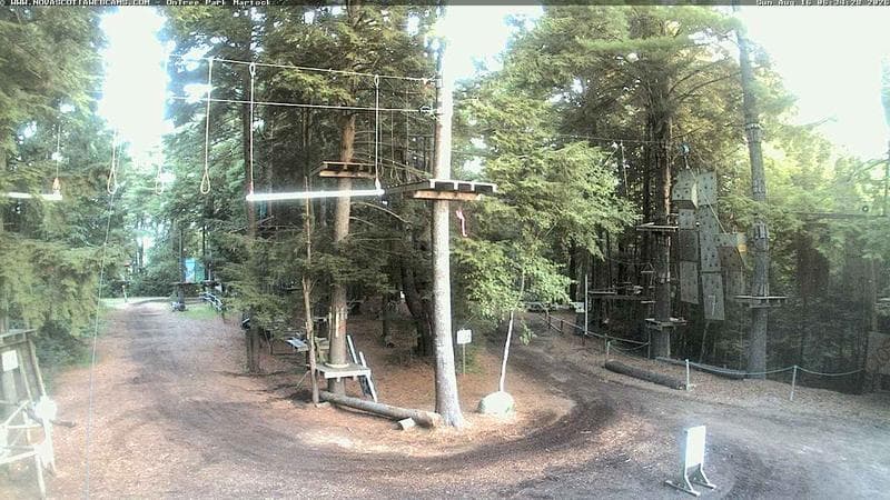 Ontree Park