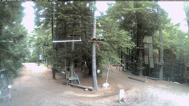 Ontree Park