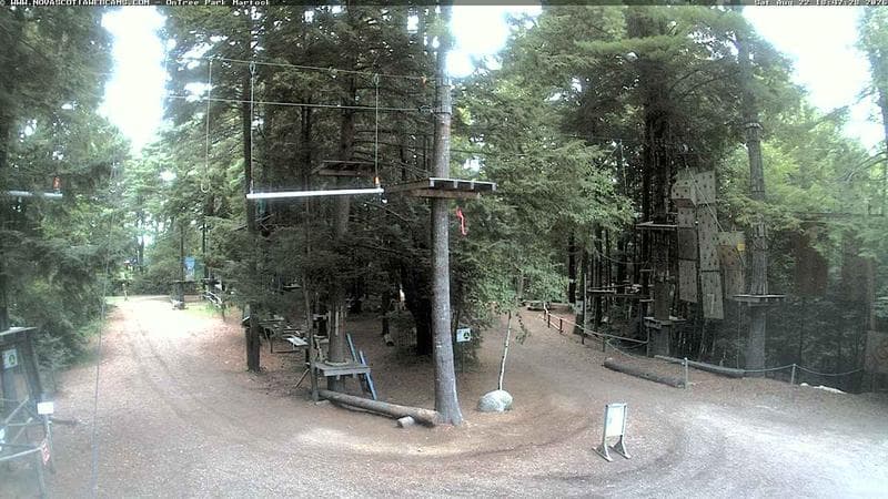 Ontree Park