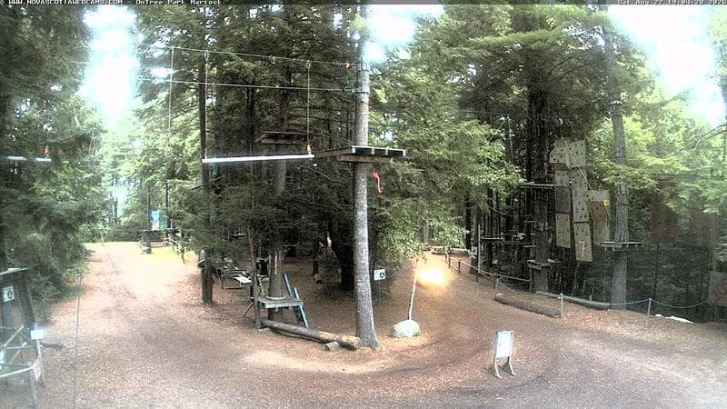 Ontree Park