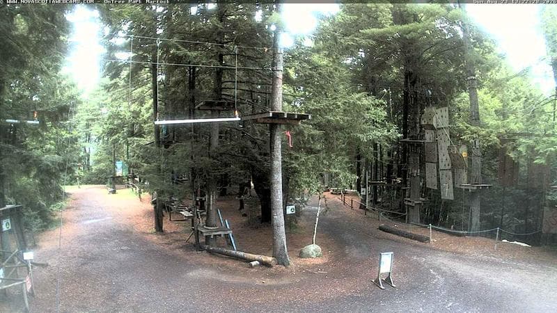 Ontree Park