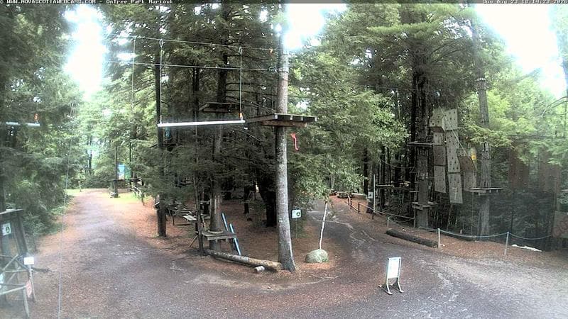 Ontree Park