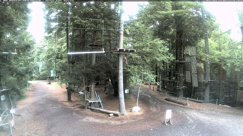 Ontree Park