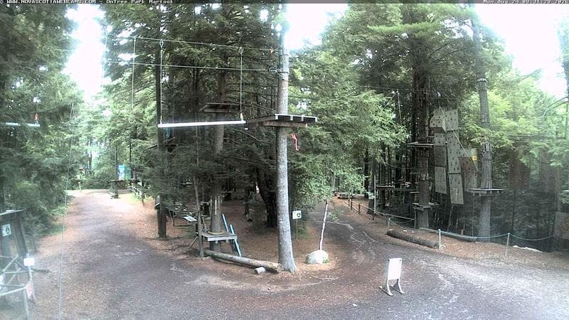 Ontree Park