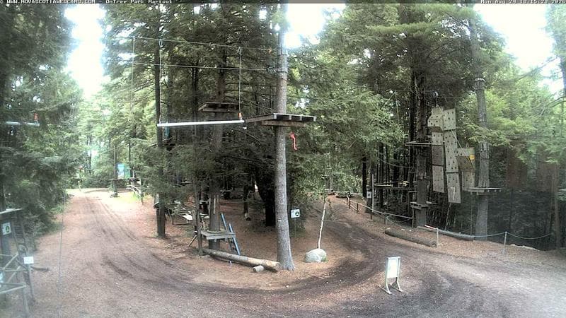 Ontree Park