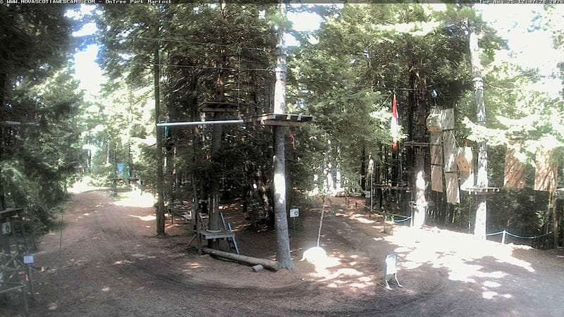 Ontree Park